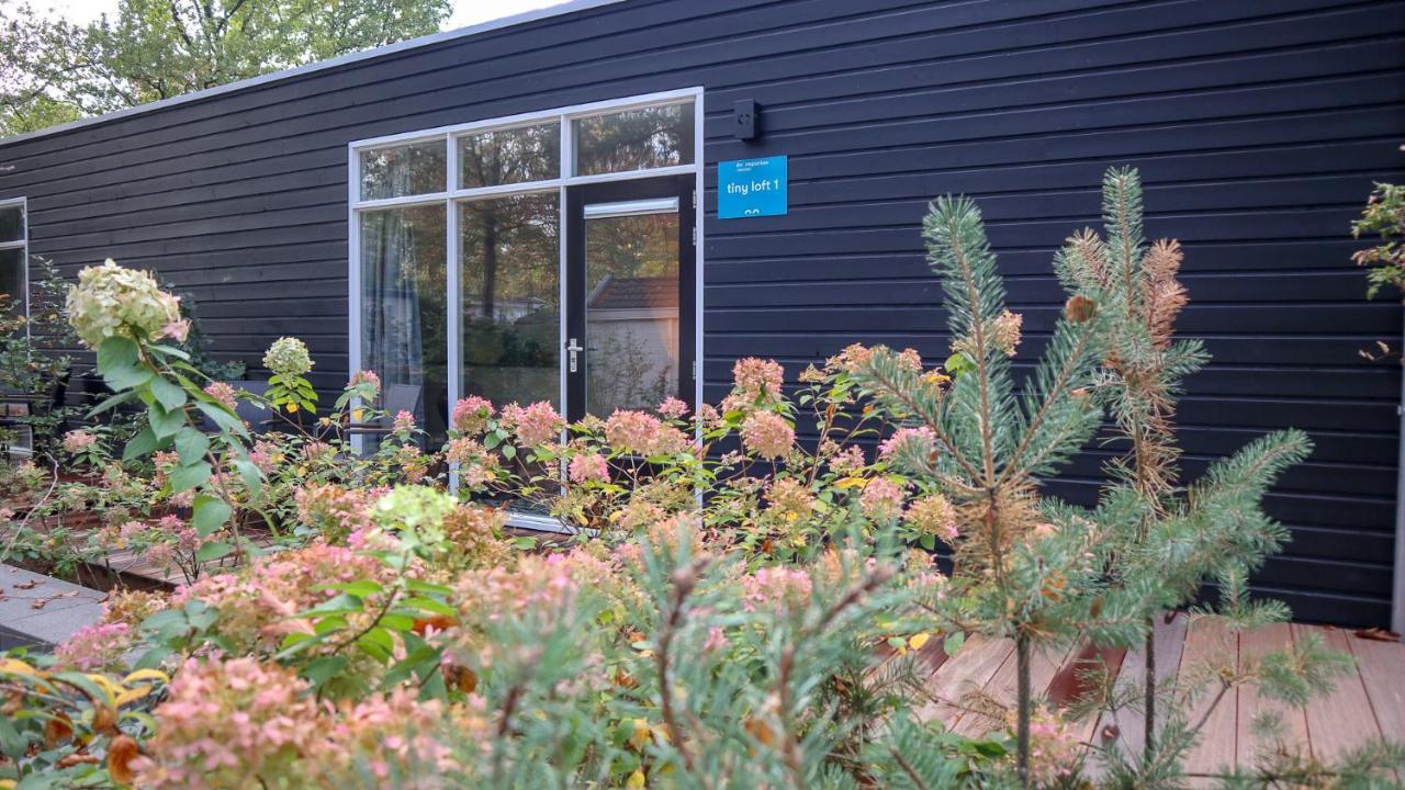 Comfort Rooms By Europarcs De Hooge Veluwe Arnhem Room photo